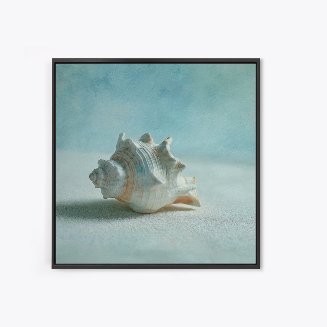 Minimal Seashell Still Life on Pale Sand Canvas Print, Bathroom Art, Custom Pet Portrait, Bathroom Decor, Abstract Art, Spa, BAT-1x1-3