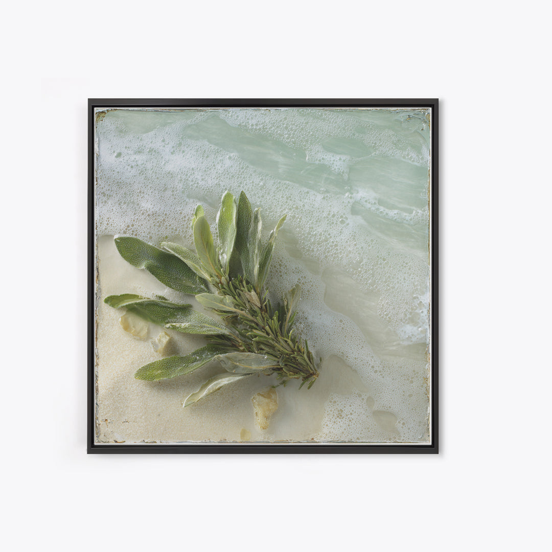 Botanical Bath Herb Arrangement Framed Canvas Print, Bathroom Art, Minimalist Wall Art, Bathroom Decor, Oil Painting, Spa, BAT-1x1-41