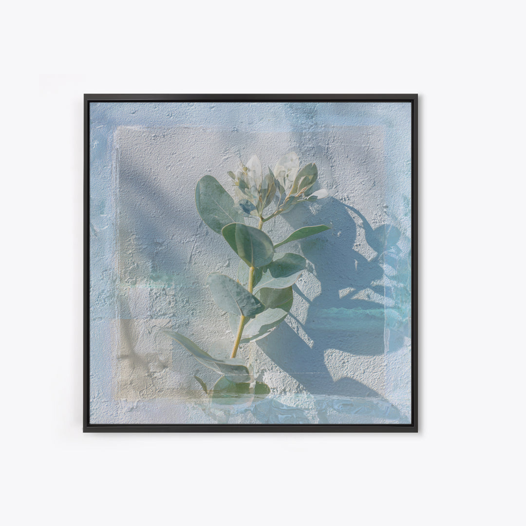 Sunlit Window Plant Shadow on Plaster Framed Canvas Print, Bathroom Art, Unique Wall Art, Bathroom Decor, Abstract Art, Spa, BAT-1x1-42