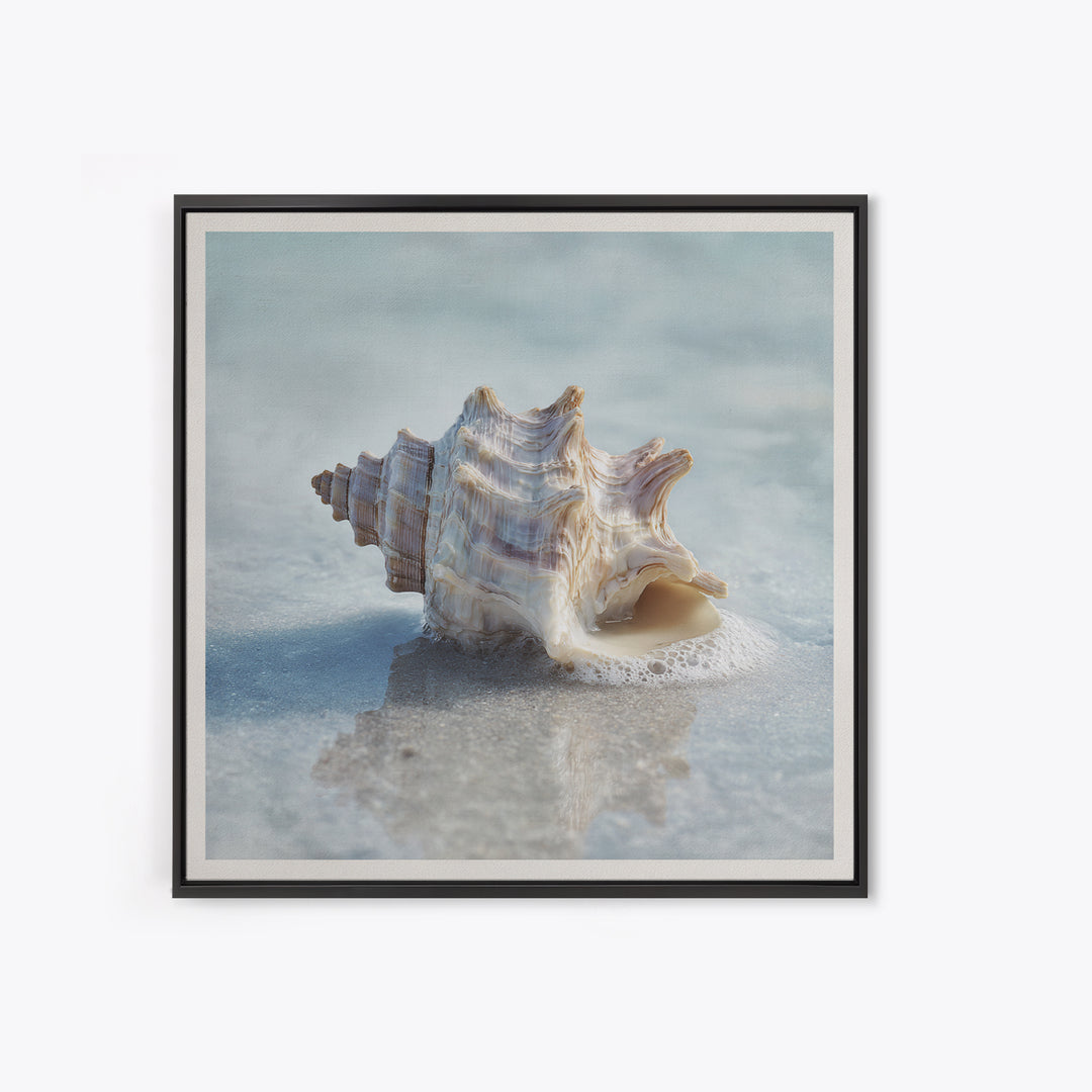 Minimal Seashell Still Life on Pale Sand Framed Canvas Print, Bathroom Art, Minimalist Wall Art, Bathroom Decor, Oil Painting, BAT-1x1-51