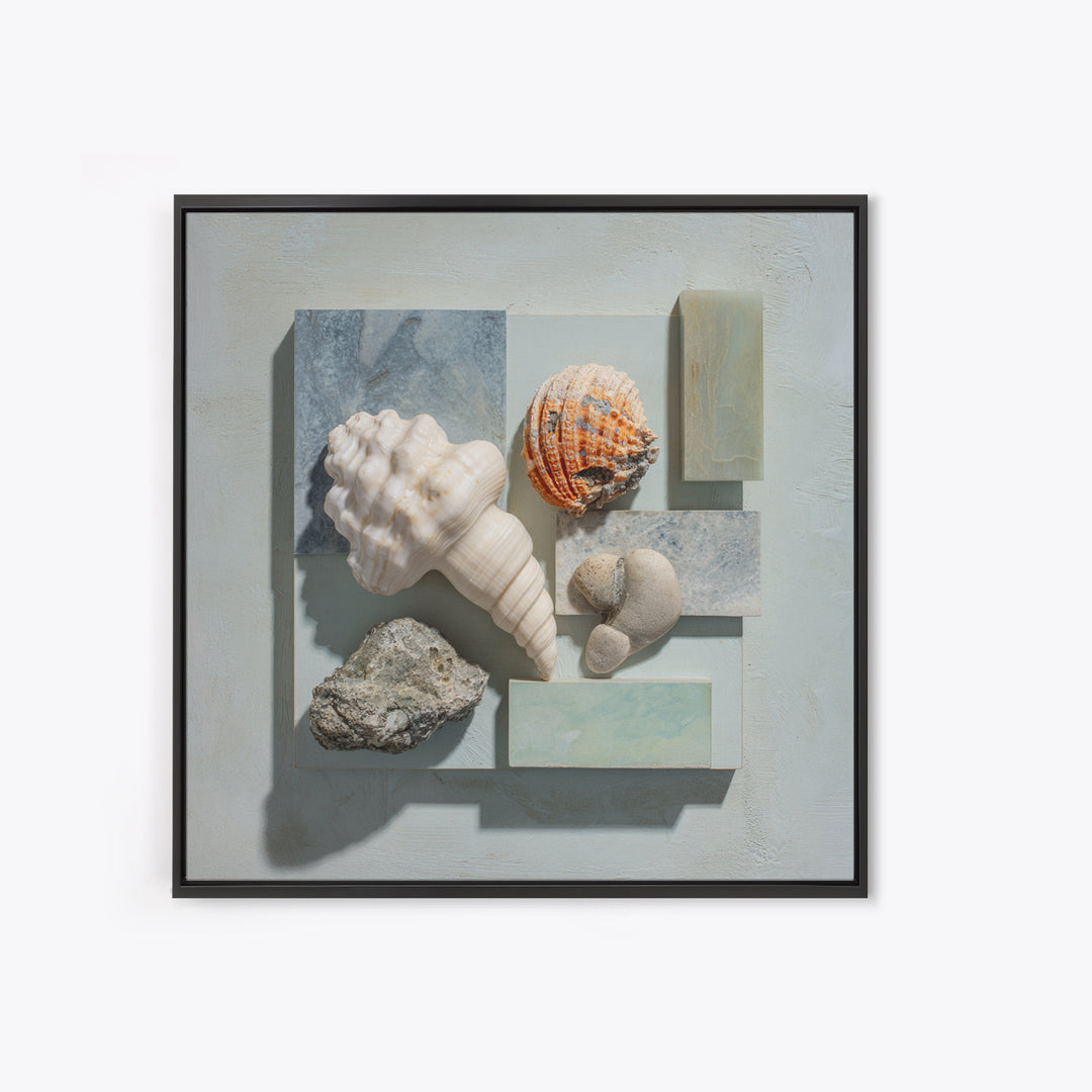 Coral and Shell Arrangement Canvas Print, Bathroom Art, Funny Bathroom Art, Bathroom Decor, Fine Art, Spa, Art Print, BAT-1x1-59