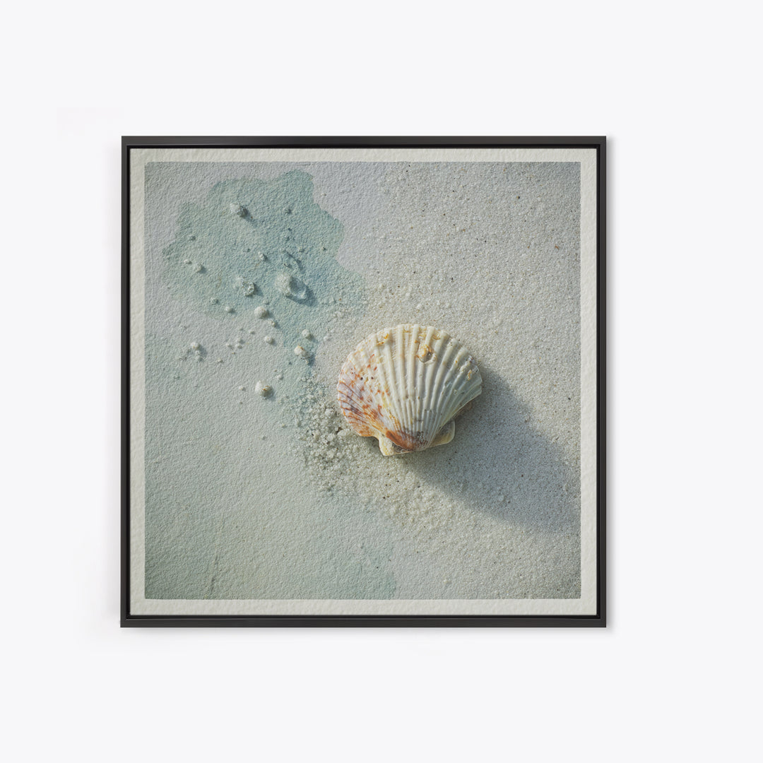 Minimal Seashell Still Life on Pale Sand Canvas Print, Bathroom Art, Gallery Decor, Bathroom Decor, Spa, Minimalist Decor, BAT-1x1-75