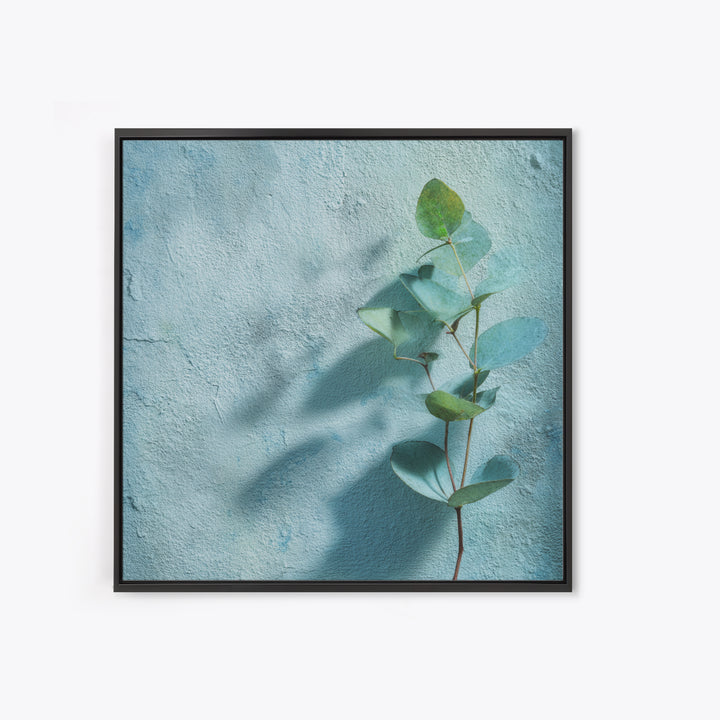 Sunlit Window Plant Shadow on Plaster Canvas Print, Bathroom Art, Bathroom Art Decor, Bathroom Decor, Fine Art, Spa, Boho Decor, BAT-1x1-90