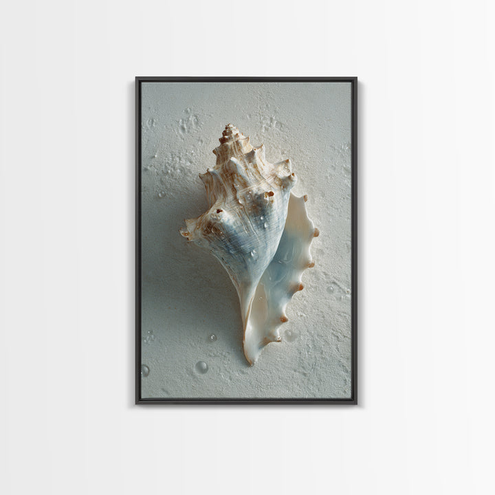 Minimal Seashell Still Life on Pale Sand Canvas Print, Bathroom Art, Modern Wall Art, Bathroom Decor, Abstract Art, Spa, BAT-2x3-11