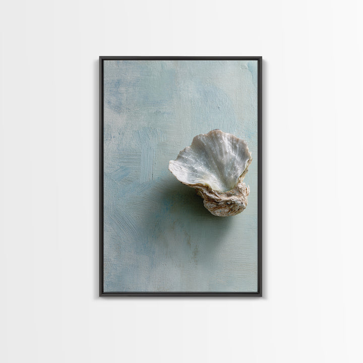 Oyster Shell Study Framed Canvas Print, Bathroom Art, Wall Decor, Bathroom Decor, Fine Art, Spa, Contemporary Art, Wall Art, BAT-2x3-30