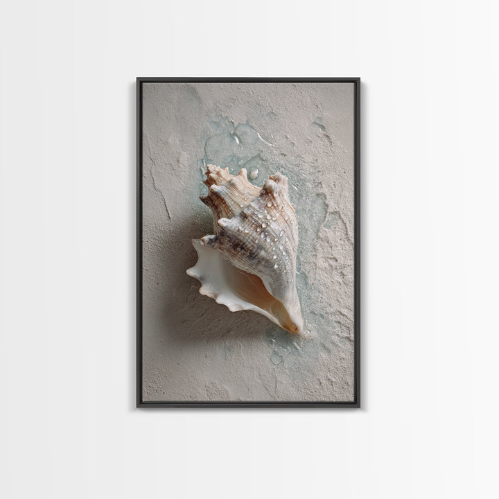 Minimal Seashell Still Life on Pale Sand Framed Canvas Print, Bathroom Art, Boho Decor, Bathroom Decor, Oil Painting, Spa, BAT-2x3-59
