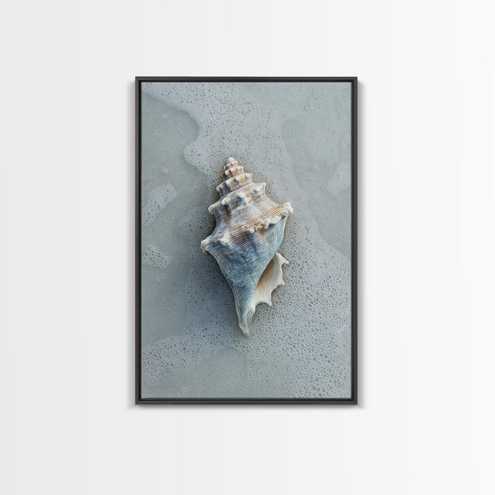 Minimal Seashell Still Life on Pale Sand Framed Canvas Print, Bathroom Art, Digital Art, Bathroom Decor, Abstract Art, Spa, BAT-2x3-83