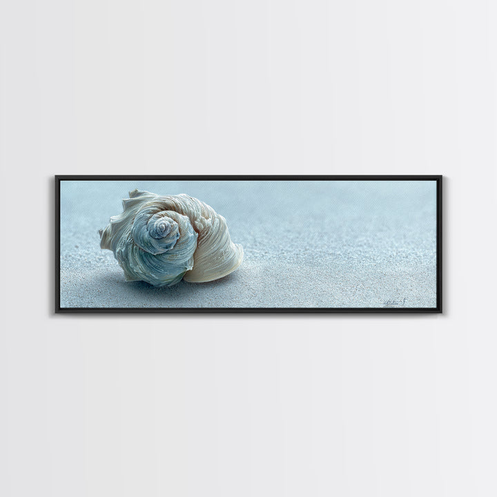 Minimal Seashell Still Life on Pale Sand Canvas Print, Bathroom Art, Bathroom Print, Bathroom Decor, Fine Art, Spa, BAT-3x1-91