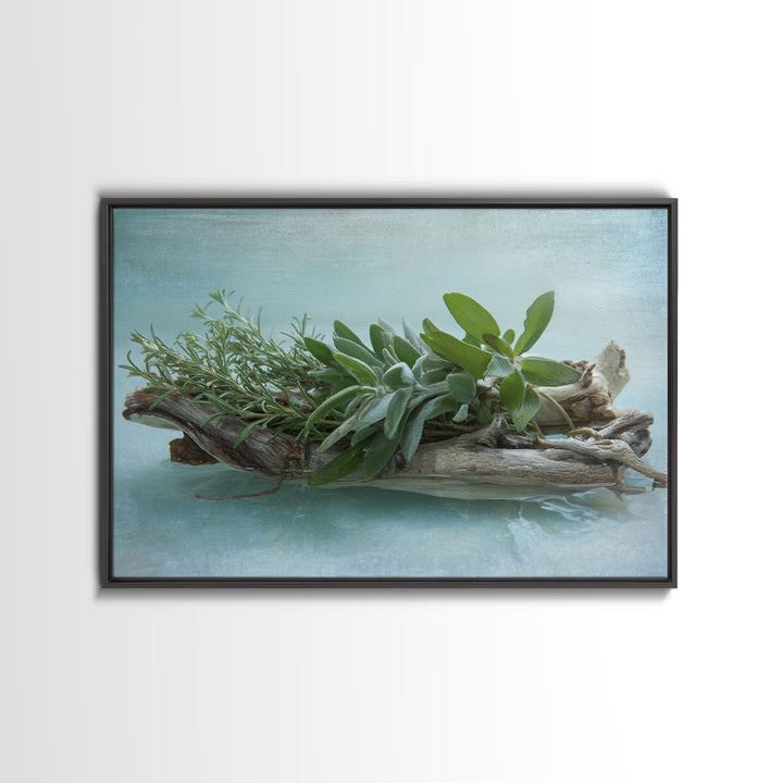 Botanical Bath Herb Arrangement Canvas Print, Bathroom Art, Bathroom Decor, Fine Art, Spa, Bathroom Accessories, Modern Art, BAT-3x2-21