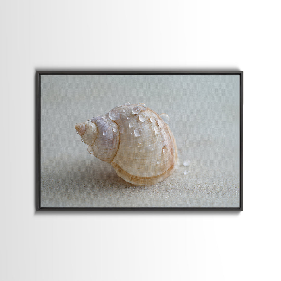Minimal Seashell Still Life on Pale Sand Framed Canvas Print, Bathroom Art, Boho Decor, Bathroom Decor, Oil Painting, Spa, BAT-3x2-55
