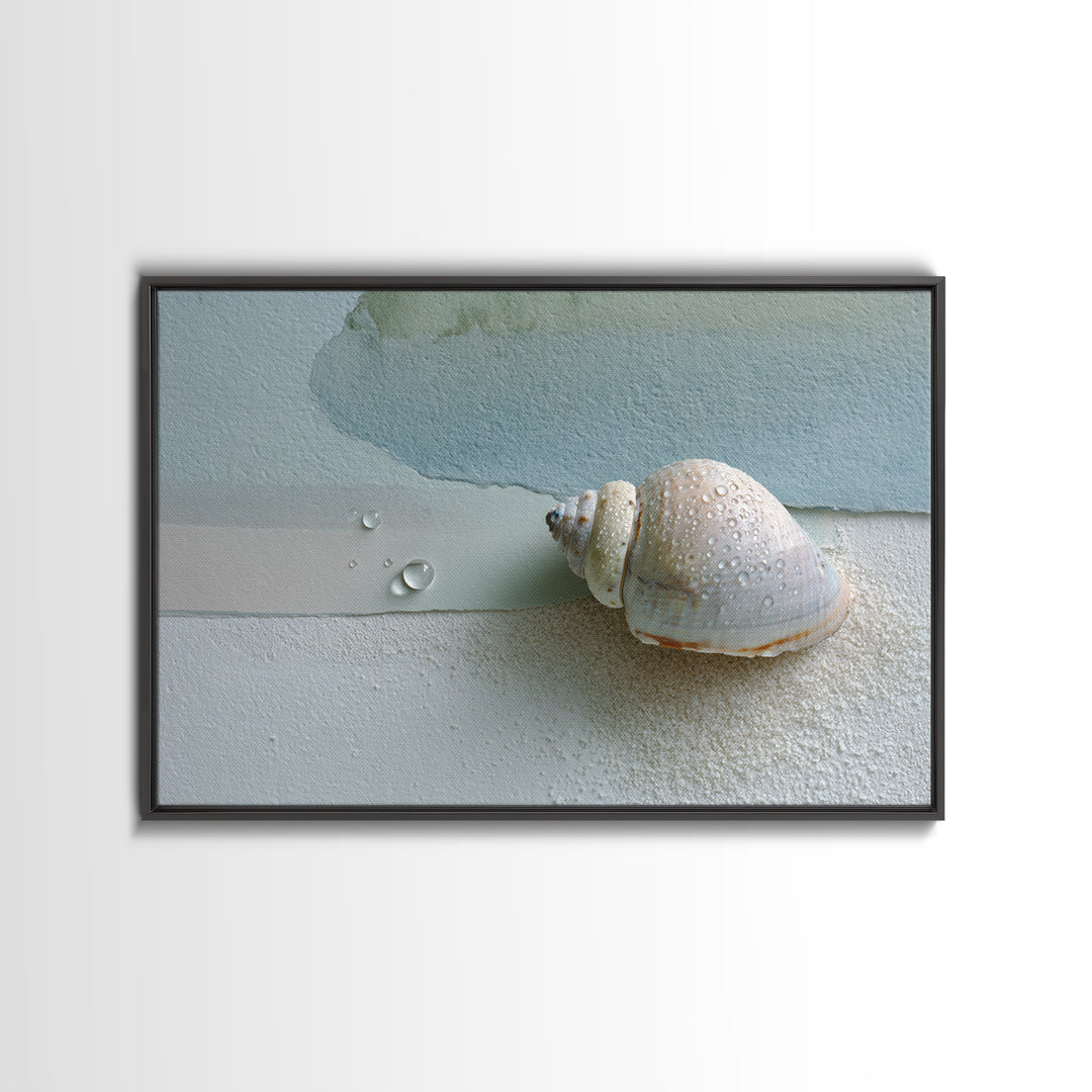 Minimal Seashell Still Life on Pale Sand Framed Canvas Print, Bathroom Art, Statement Artwork, Bathroom Decor, Abstract Art, BAT-3x2-7