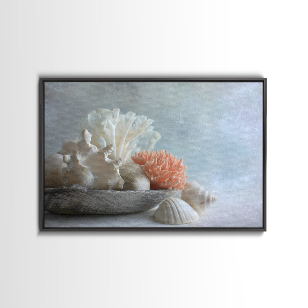 Coral and Shell Arrangement Framed Canvas Print, Bathroom Art, Bathroom Accessories, Bathroom Decor, Spa, Fine Art Print, BAT-3x2-87