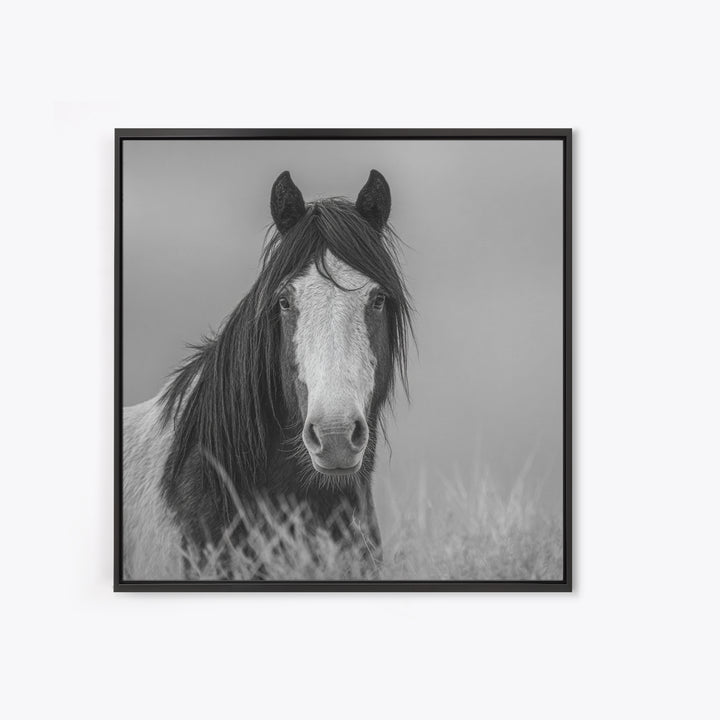 Black and White Wild Horse Portrait Canvas Print, Black and White Art, Fine Art Print, Living Room Decor, Oil Painting, BAW-1x1-5