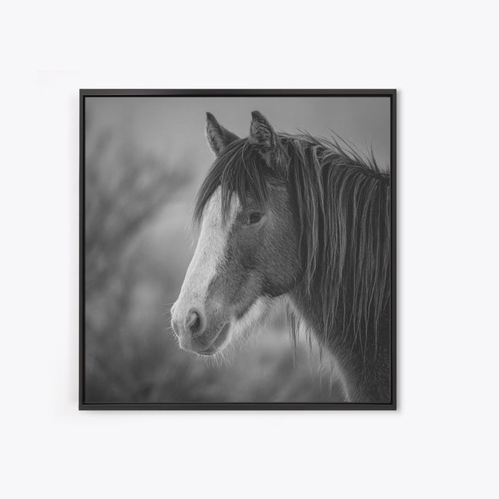 Black and White Wild Horse Portrait Canvas Print, Black and White Art, Art, Living Room Decor, Monochrome, Original Art, BAW-1x1-77