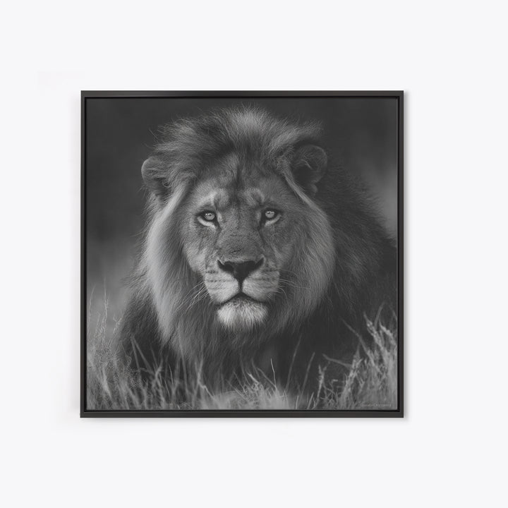Dramatic Black and White Lion Portrait Canvas Print, Black and White Art, Contemporary Art, Living Room Decor, Monochrome, BAW-1x1-89