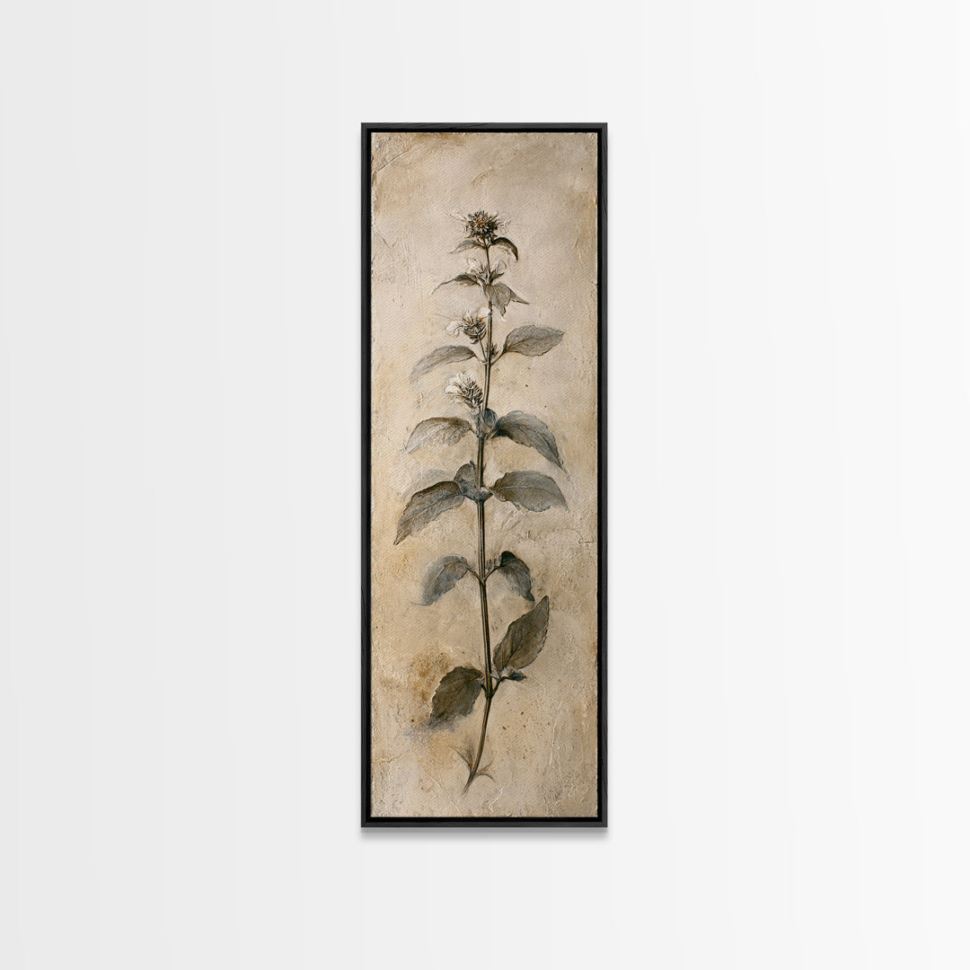 Black and White Botanical Specimen Plate Canvas Print, Black and White Art, Canvas Print, Living Room Decor, Oil Painting, BAW-1x3-59