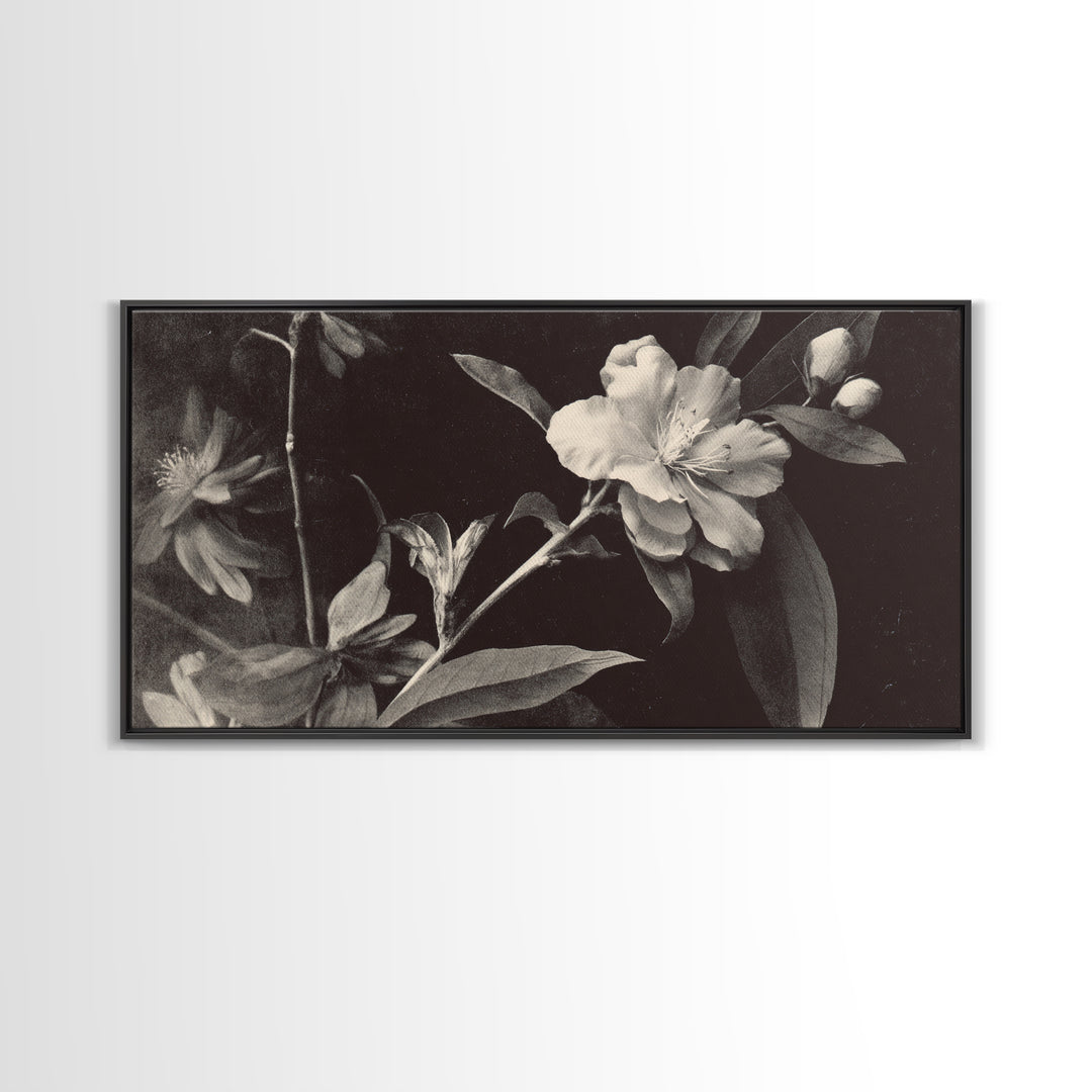 Black and White Botanical Specimen Plate Canvas Print, Black and White Art, Cabin Decor, Living Room Decor, Monochrome, BAW-2x1-19