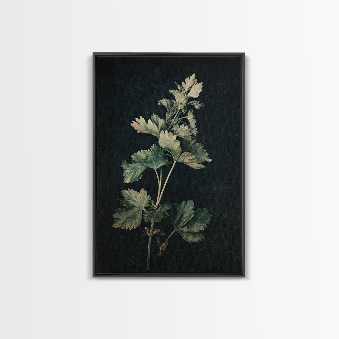 Black and White Botanical Specimen Plate Canvas Print, Black and White Art, Fine Art Print, Living Room Decor, Monochrome, BAW-2x3-7
