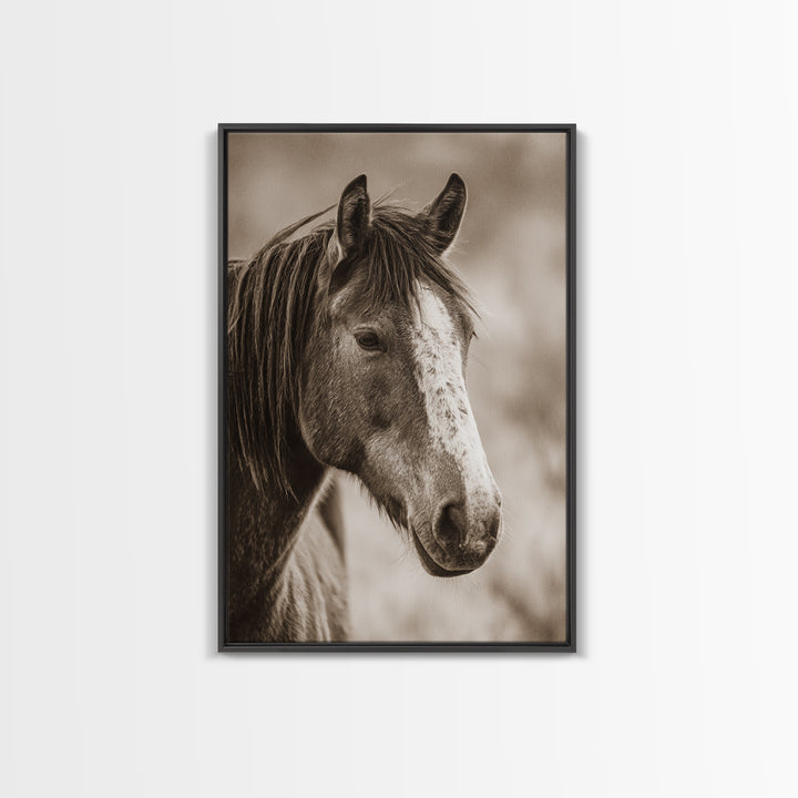 Black and White Wild Horse Portrait Framed Canvas Print, Black and White Art, Canvas Print, Living Room Decor, Monochrome, BAW-2x3-85