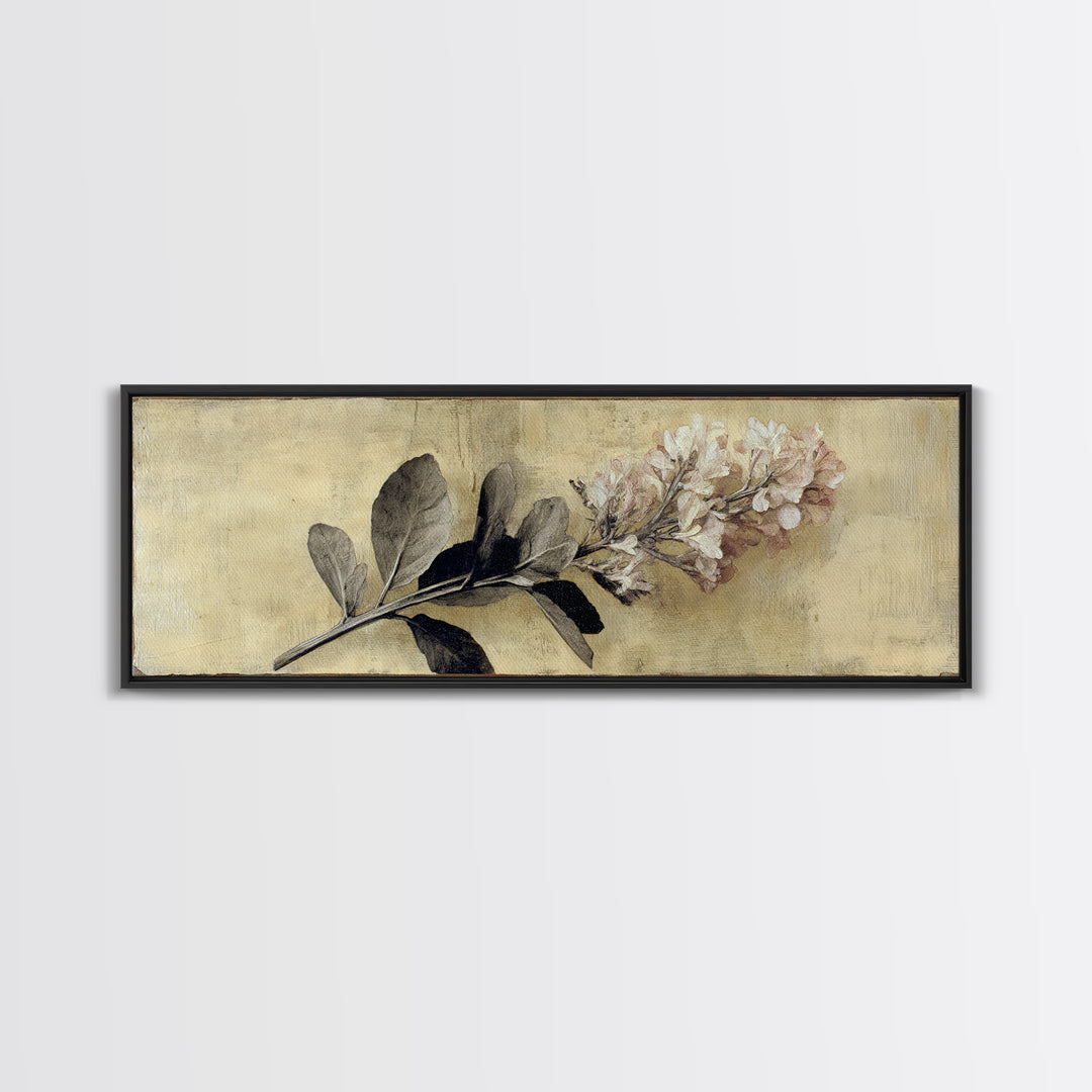 Black and White Botanical Specimen Plate Canvas Print, Black and White Art, Gallery Decor, Living Room Decor, Monochrome, BAW-3x1-15