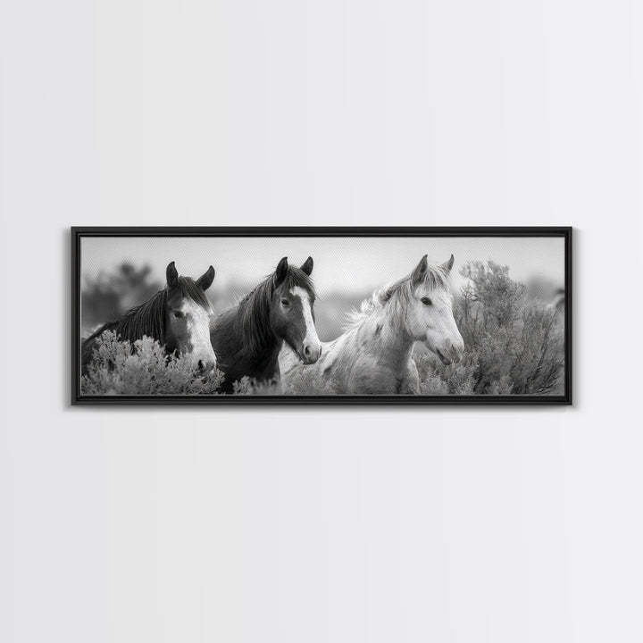 Black and White Wild Horse Portrait Framed Canvas Print, Black and White Art, Gallery Decor, Living Room Decor, Monochrome, BAW-3x1-69