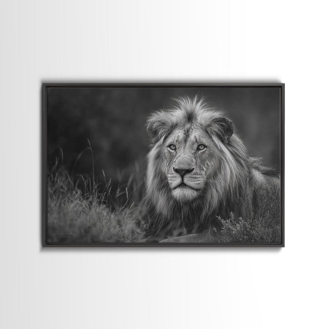 Dramatic Black and White Lion Portrait Canvas Print, Black and White Art, Photography Prints, Living Room Decor, Monochrome, BAW-3x2-21