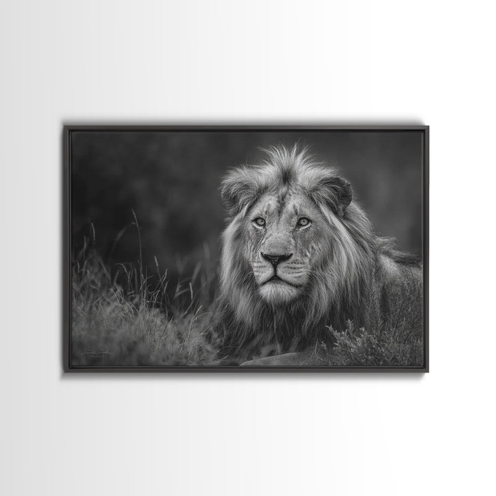 Dramatic Black and White Lion Portrait Canvas Print, Black and White Art, Photography Prints, Living Room Decor, Monochrome, BAW-3x2-21