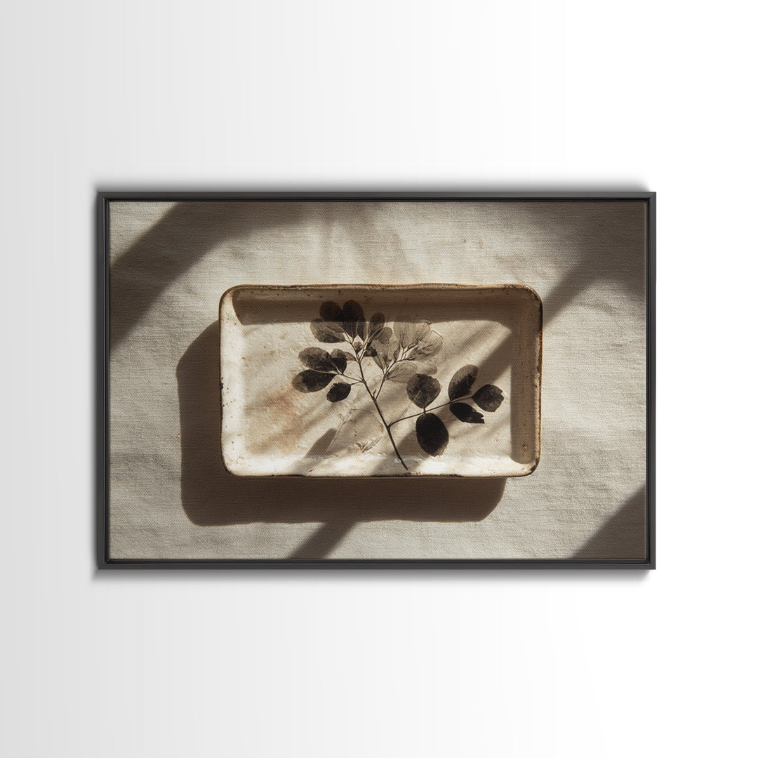 Black and White Botanical Specimen Plate Canvas Print, Black and White Art, Photography Prints, Living Room Decor, Monochrome, BAW-3x2-3