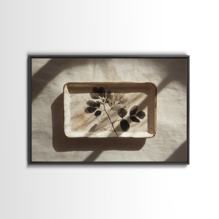 Black and White Botanical Specimen Plate Canvas Print, Black and White Art, Photography Prints, Living Room Decor, Monochrome, BAW-3x2-3