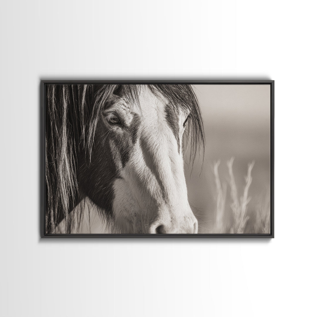 Black and White Wild Horse Portrait Canvas Print, Black and White Art, Fine Art Print, Living Room Decor, Monochrome, BAW-3x2-81