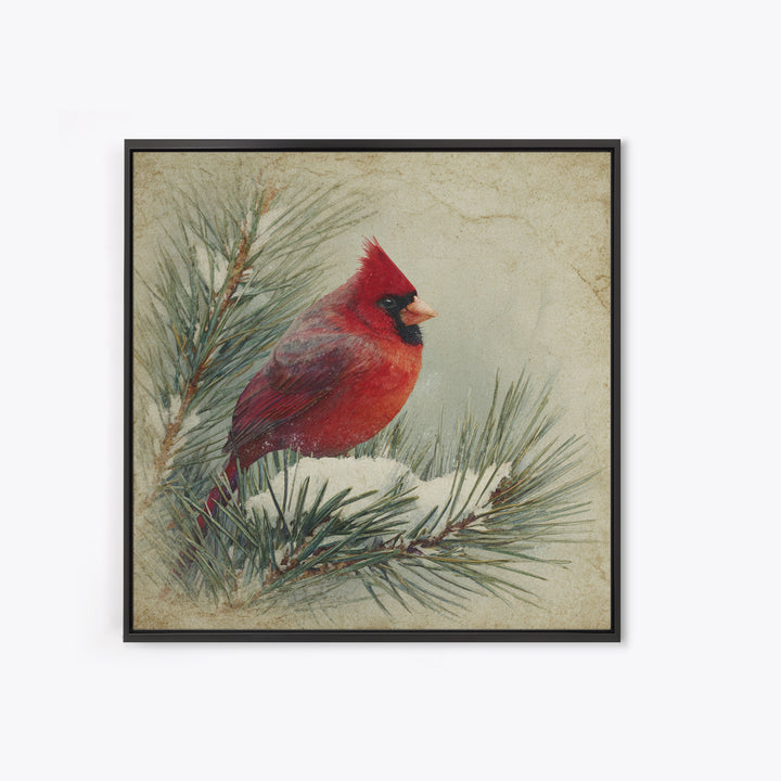 Red Cardinal on Snowy Pine Branch Framed Canvas Print, Bird Art, Nature Wall Art, Living Room Decor, Watercolor Art, Flight, BIR-1x1-1