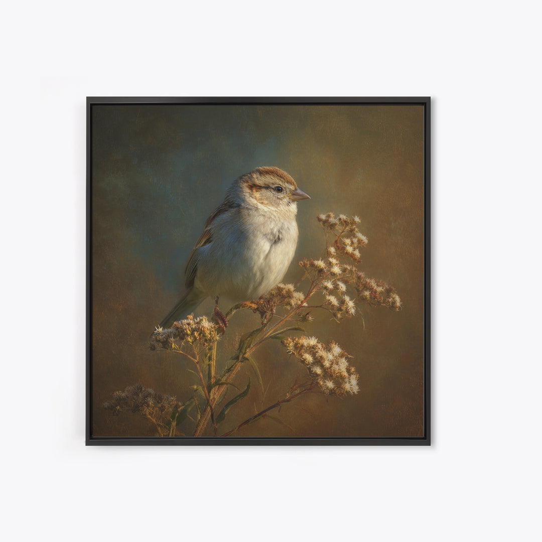 Small Sparrow on Wildflower Stem Canvas Print, Bird Art, Mid Century Wall Art, Living Room Decor, Flight, Fine Art Print, BIR-1x1-14