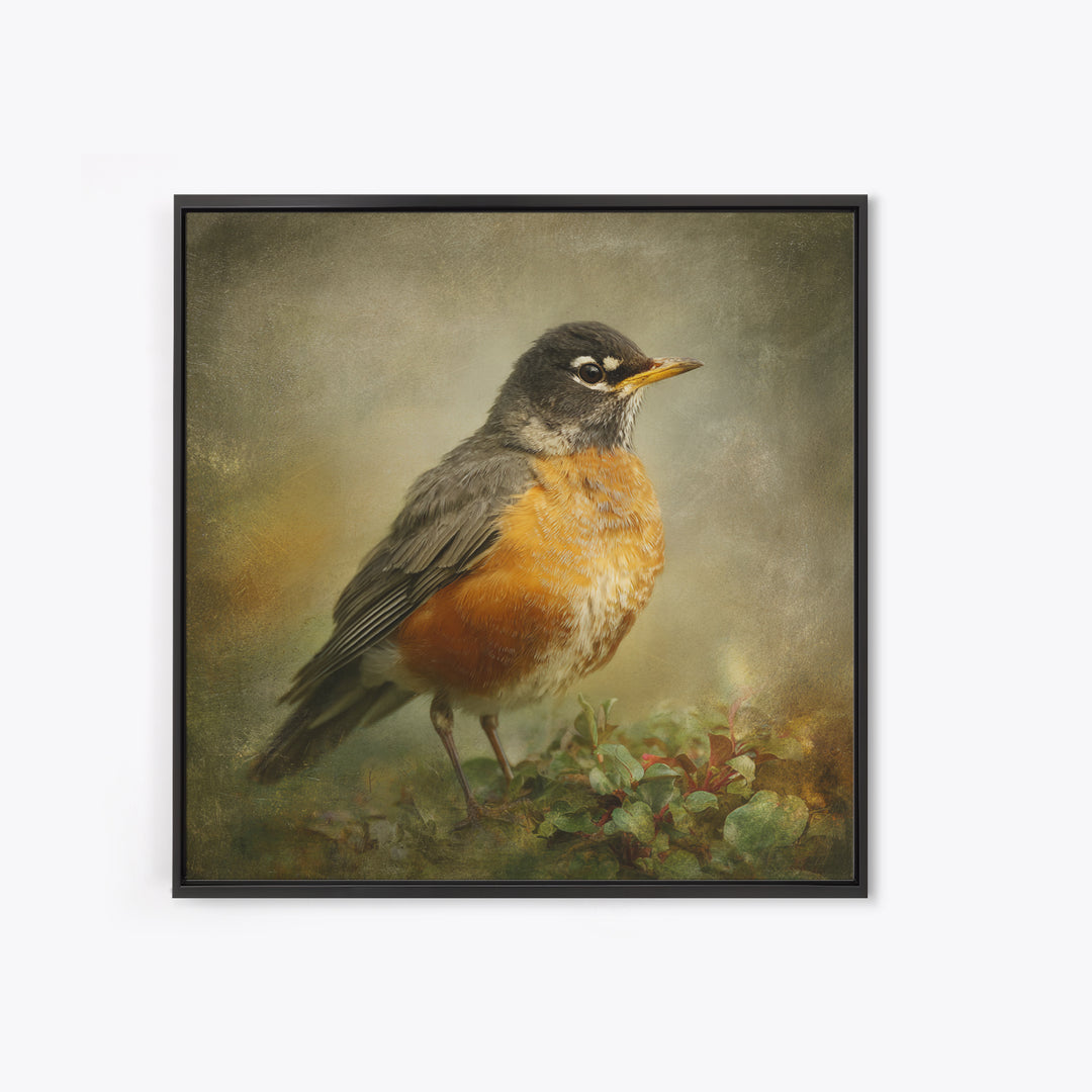 Robin in a Spring Garden with Soft Canvas Print, Bird Art, Japanese Wall Art, Living Room Decor, Watercolor Art, Flight, BIR-1x1-15