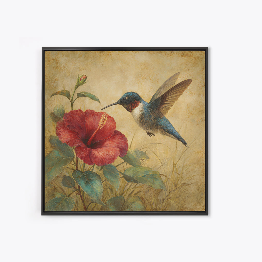 Hummingbird Hovering Beside Bright Hibiscus Framed Canvas Print, Bird Art, Gallery Wall, Living Room Decor, Fine Art, Flight, BIR-1x1-52