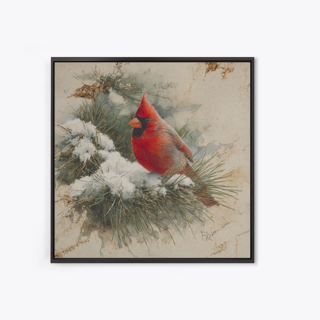 Red Cardinal on Snowy Pine Branch Framed Canvas Print, Bird Art, Art Print, Living Room Decor, Fine Art, Flight, Original Art, BIR-1x1-73