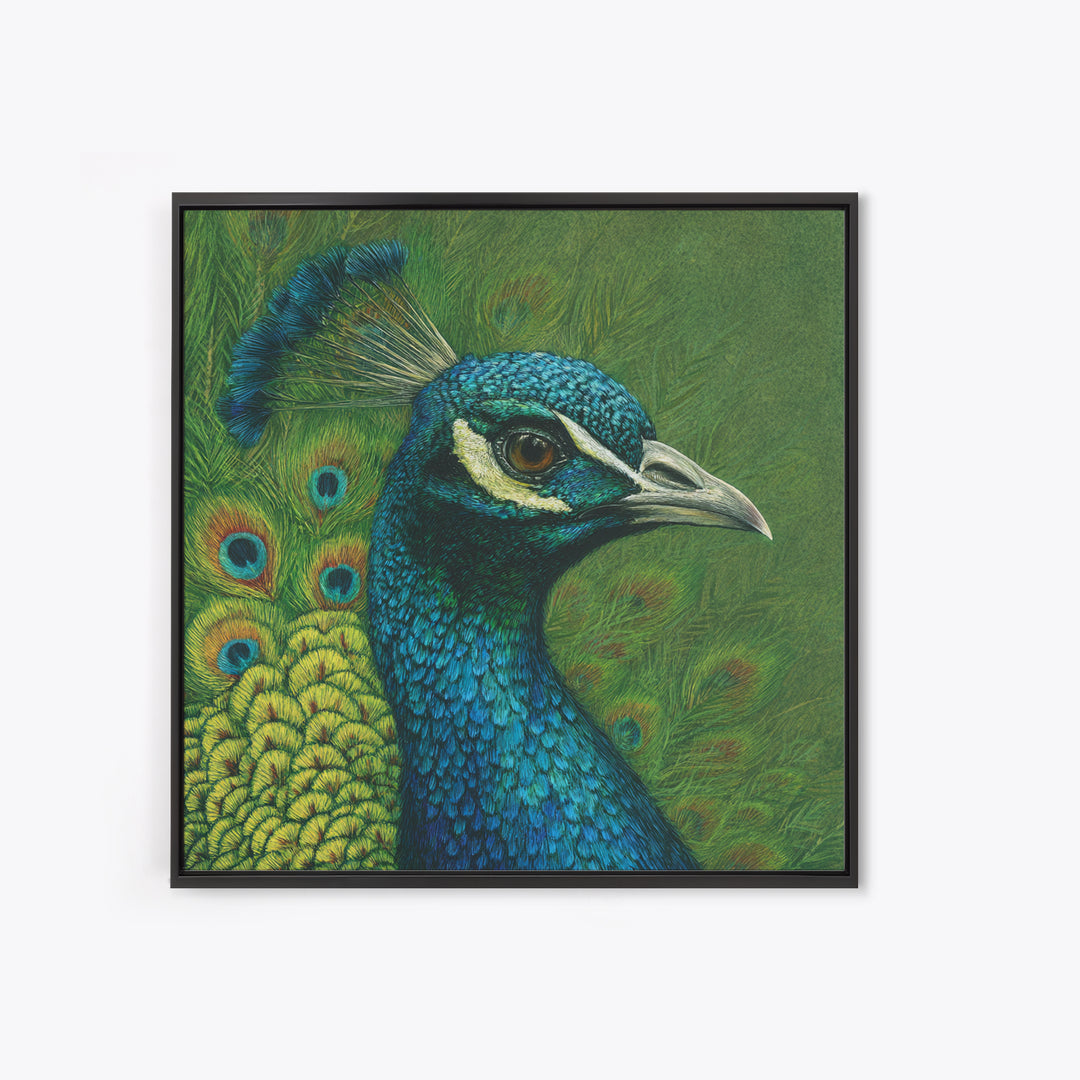 Peacock with Jewel Tone Feather Pattern Framed Canvas Print, Bird Art, Fine Art Print, Living Room Decor, Oil Painting, Flight, BIR-1x1-79