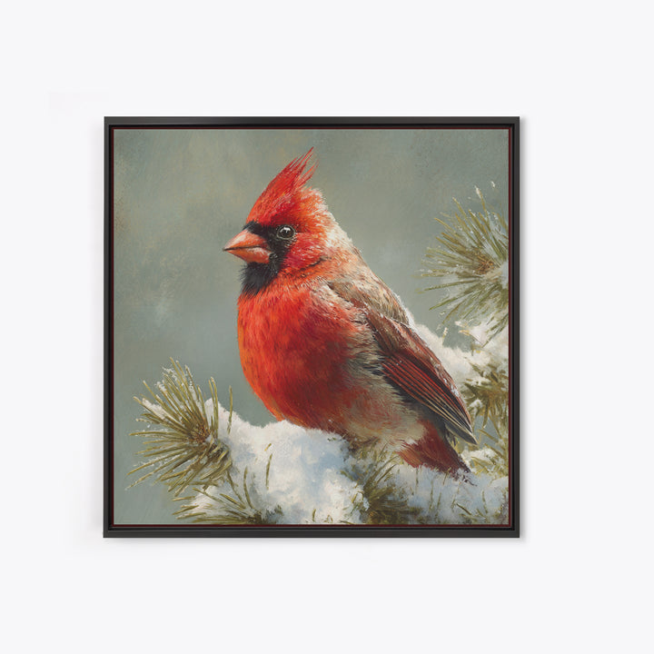Red Cardinal on Snowy Pine Branch Canvas Print, Bird Art, Wall Art, Living Room Decor, Fine Art, Flight, Japanese Wall Art, BIR-1x1-97