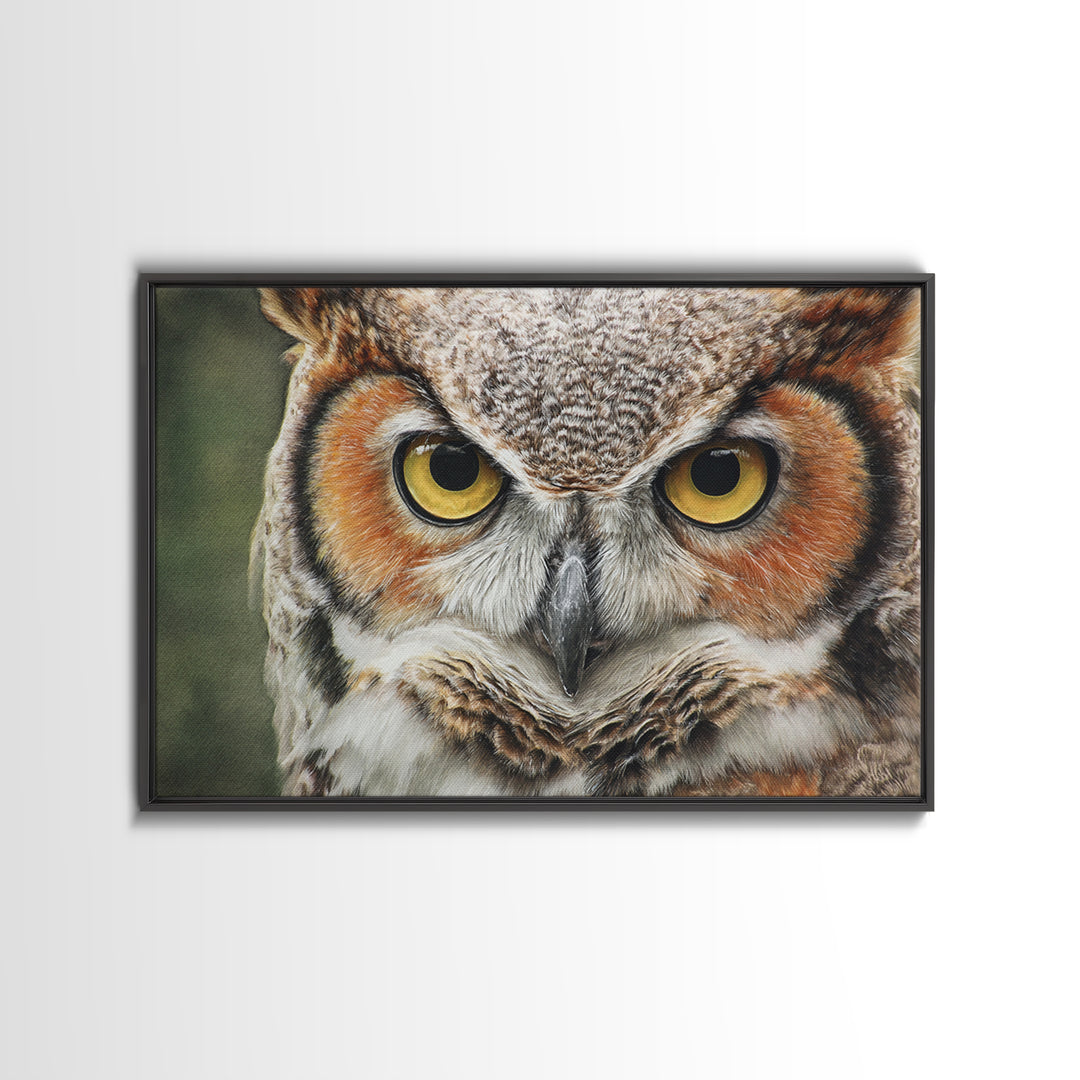 Owl Portrait with Wise Golden Eyes Canvas Print, Bird Art, Bird Prints, Living Room Decor, Fine Art, Flight, Modern Decor, BIR-3x2-33
