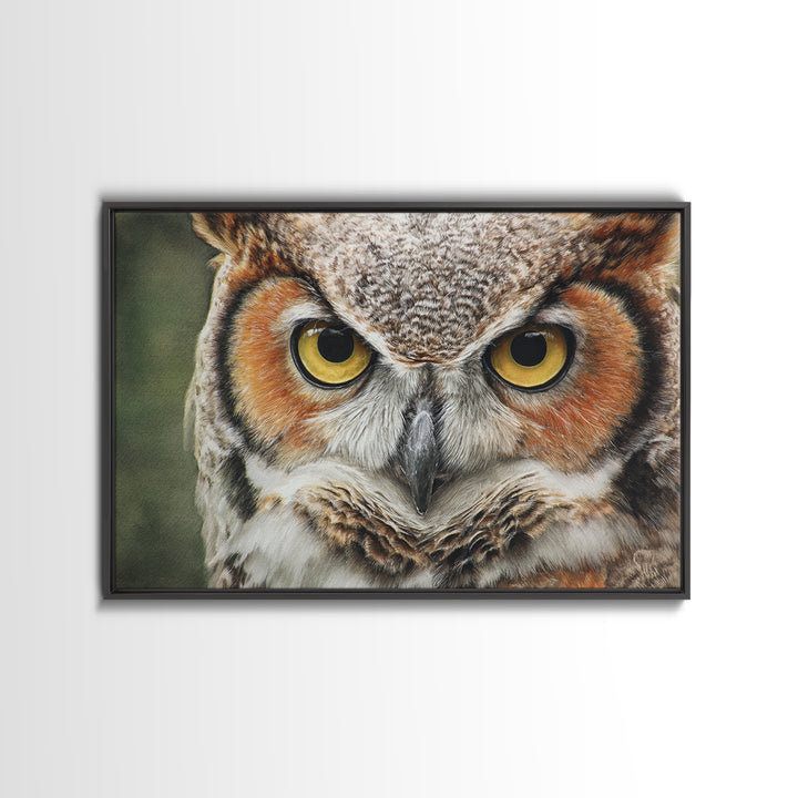 Owl Portrait with Wise Golden Eyes Canvas Print, Bird Art, Bird Prints, Living Room Decor, Fine Art, Flight, Modern Decor, BIR-3x2-33