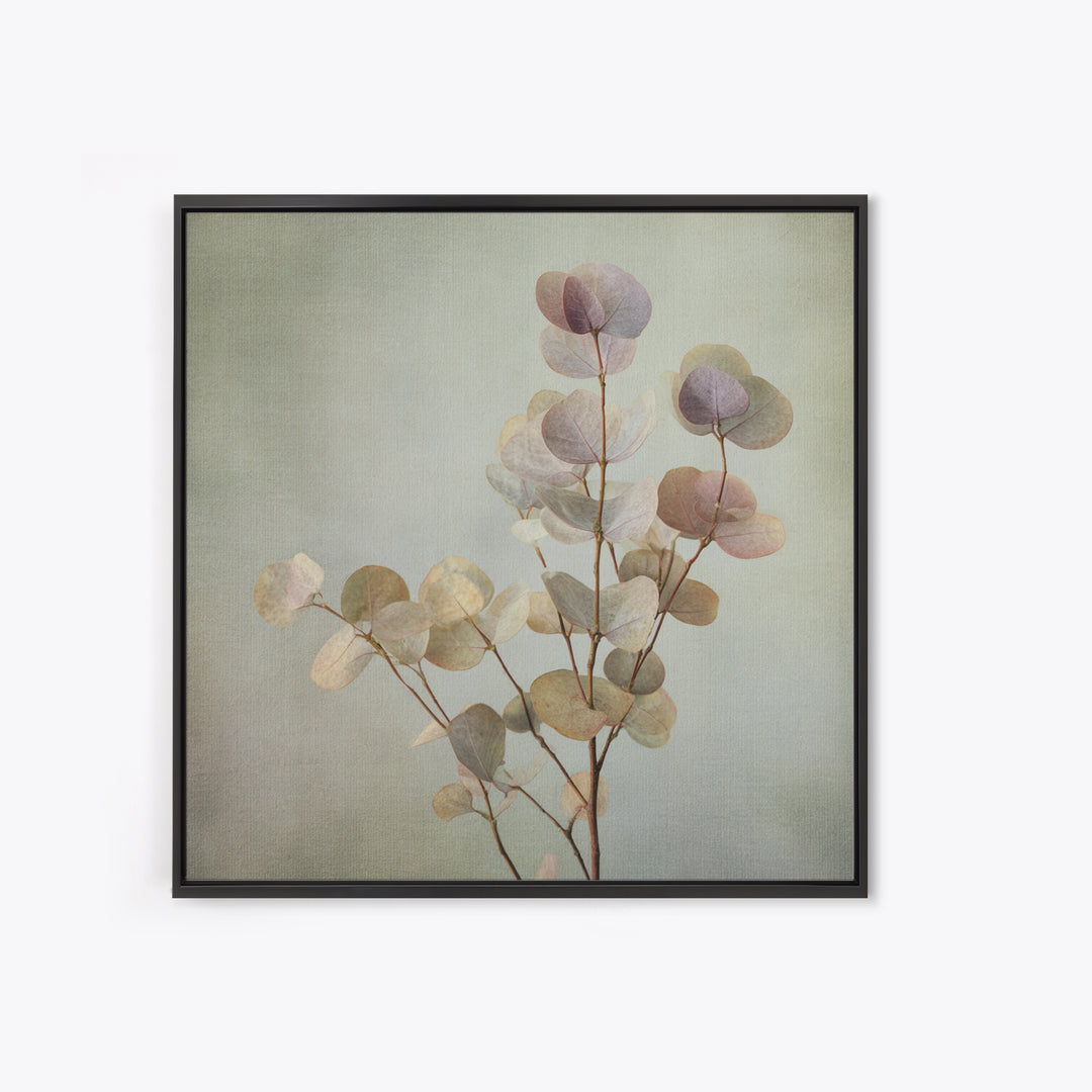 Eucalyptus Stems in Soft Sage Tones Canvas Print, Botanical Art, Gallery Decor, Living Room Decor, Fine Art, Botanic, BOT-1x1-59