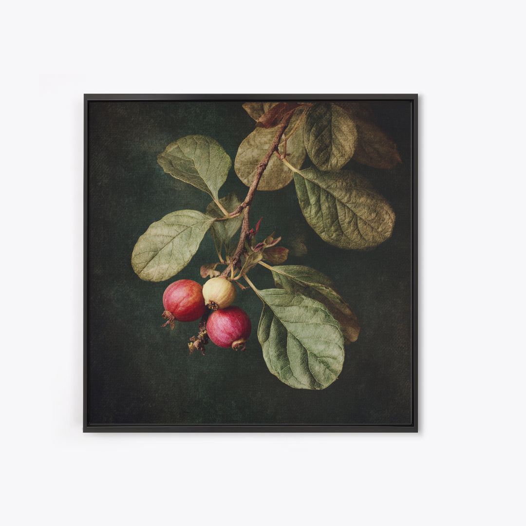 Fig Branch with Fruit and Broad Leaves Framed Canvas Print, Botanical Art, Neutral Decor, Living Room Decor, Oil Painting, BOT-1x1-63