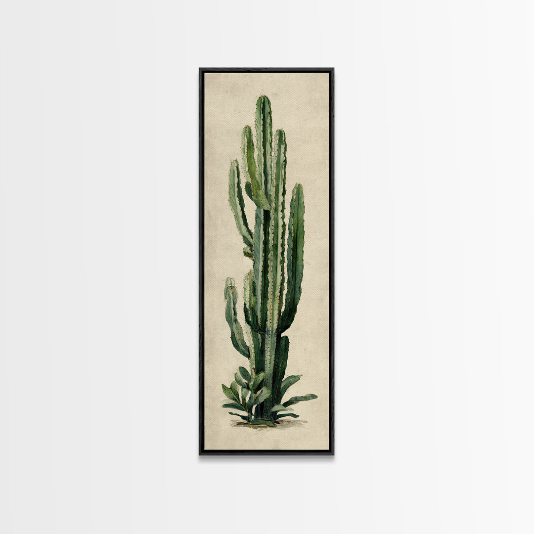 Cactus Botanical Plate Canvas Print, Botanical Art, Digital Wall Art, Living Room Decor, Oil Painting, Botanic, BOT-1x3-73