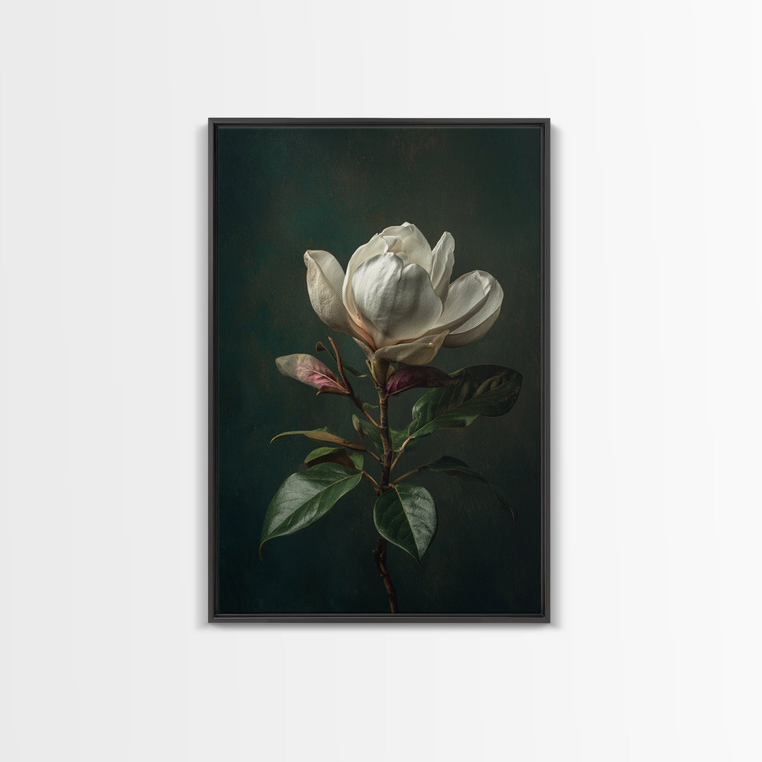 Dramatic White Magnolia on Dark Background Canvas Print, Botanical Art, Wall Art, Living Room Decor, Watercolor Art, Botanic, BOT-2x3-14