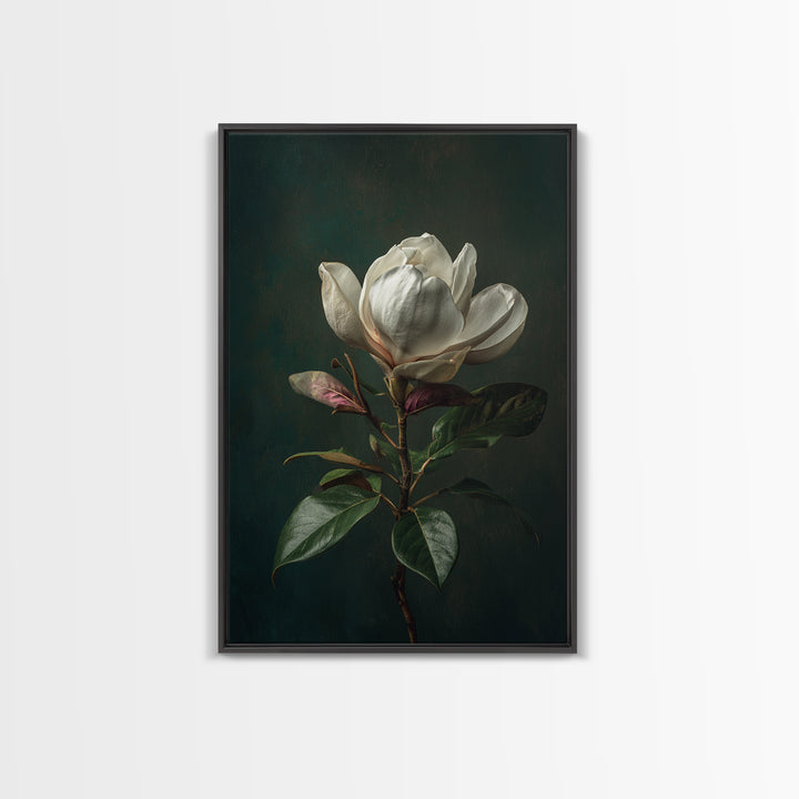 Dramatic White Magnolia on Dark Background Canvas Print, Botanical Art, Wall Art, Living Room Decor, Watercolor Art, Botanic, BOT-2x3-14