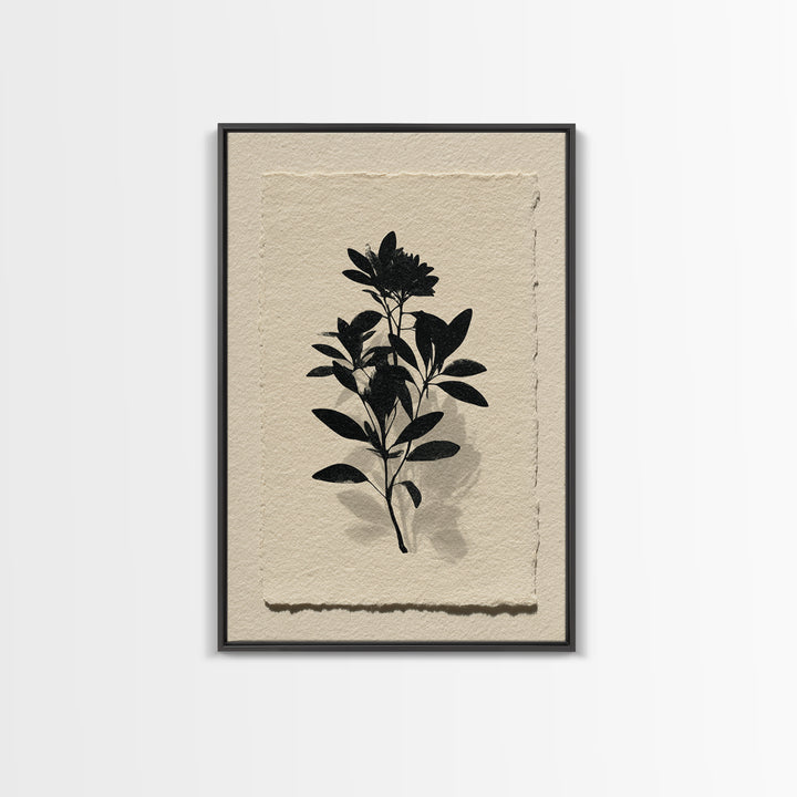 Black Ink Botanical Silhouette on Cream Paper Canvas Print, Botanical Art, Living Room Decor, Watercolor Art, Botanic, BOT-2x3-29