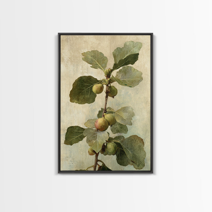 Fig Branch with Fruit and Broad Leaves Framed Canvas Print, Botanical Art, Oil Painting, Living Room Decor, Fine Art, Botanic, BOT-2x3-47