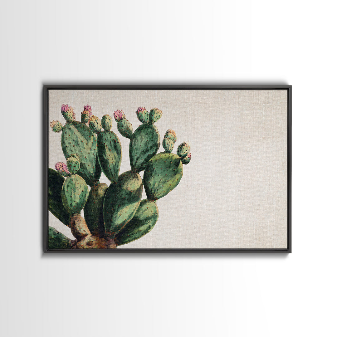 Cactus Botanical Plate Framed Canvas Print, Botanical Art, Living Room Wall Art, Living Room Decor, Fine Art, Botanic, BOT-3x2-65