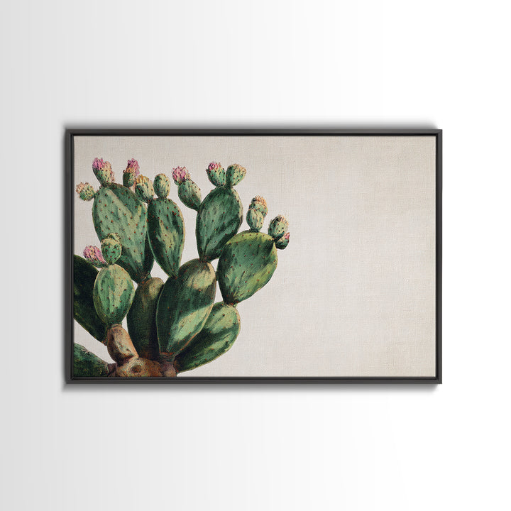 Cactus Botanical Plate Framed Canvas Print, Botanical Art, Living Room Wall Art, Living Room Decor, Fine Art, Botanic, BOT-3x2-65