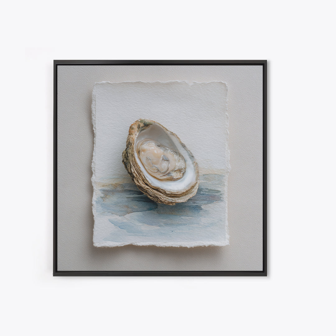 Oyster Shell Study Framed Canvas Print, Coastal Art, Beach Art, Coastal Decor, Oil Painting, Coastal, Room Decor, COA-1x1-51