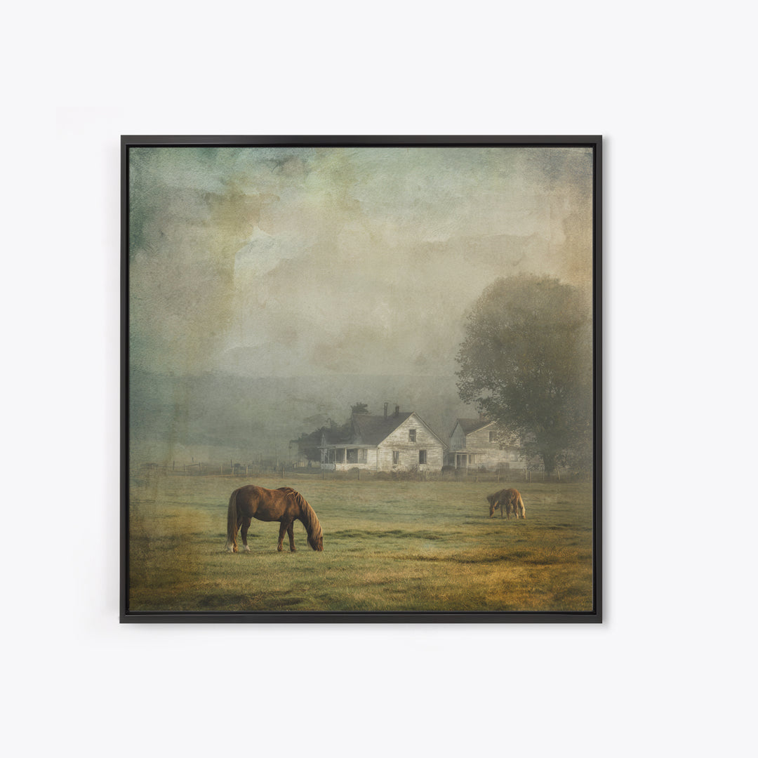 Rolling Pasture with Grazing Horses at Sunrise Framed Canvas Print, Country Art, Farmhouse Wall Art, Farmhouse Decor, Country, COU-1x1-1